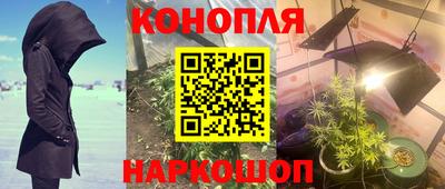 прущие крисы Можга
