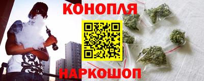 прущие крисы Можга