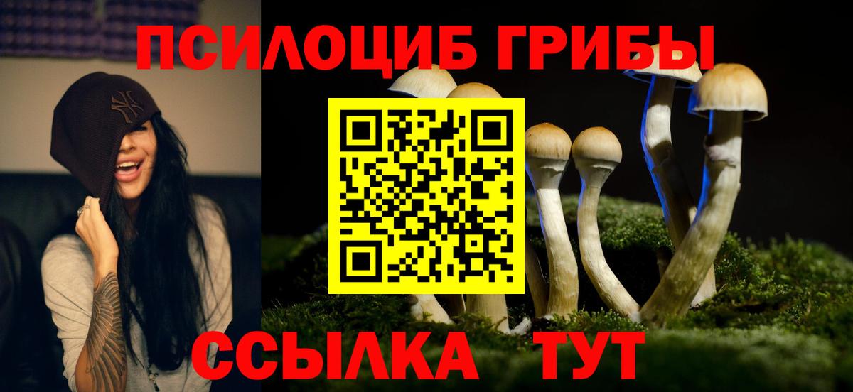 Псилоцибиновые грибы Psilocybine cubensis  Вход с VPN  Псилоцибиновые грибы Cubensis  Фролово 